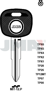 TP00MIT-12.P